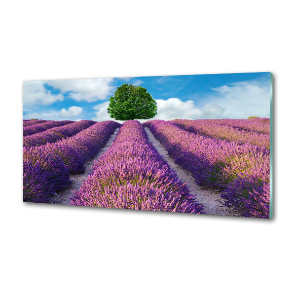 Panel de pared de cocina campo de lavanda