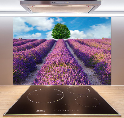 Panel de pared de cocina campo de lavanda