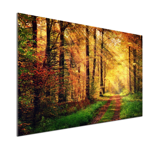 Panel antisalpicaduras Bosque en otoño