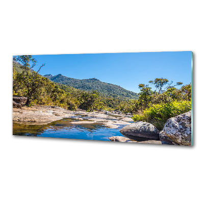 Panel antisalpicaduras Río en el bosque