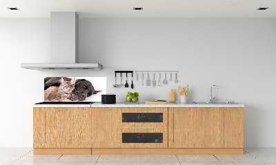 Salpicadero de cocina Perro con gato