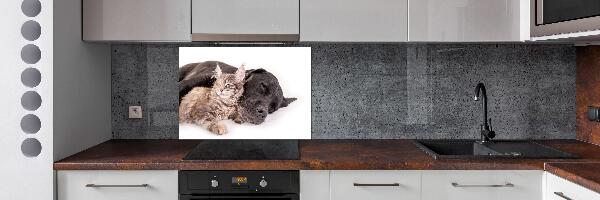 Salpicadero de cocina Perro con gato
