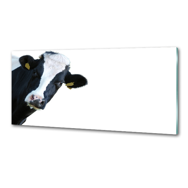 Panel antisalpicaduras Vaca