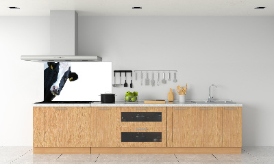 Panel antisalpicaduras Vaca