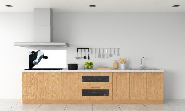 Panel antisalpicaduras Vaca