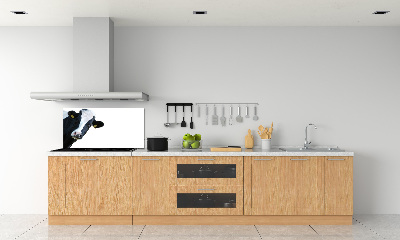 Panel antisalpicaduras Vaca