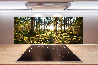 Panel de pared de cocina bosque de pinos