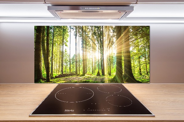 Salpicadero para cocina Bosque al sol