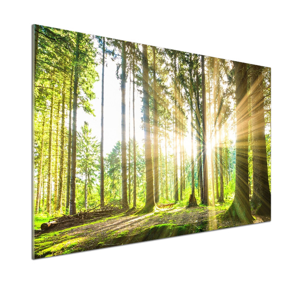 Salpicadero para cocina Bosque al sol