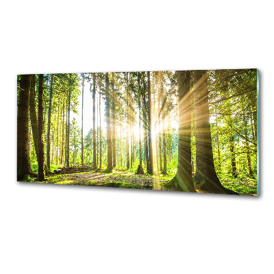 Salpicadero para cocina Bosque al sol