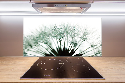 Salpicadero para cocina semillas de diente de león