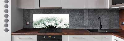 Salpicadero para cocina semillas de diente de león