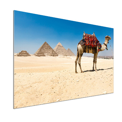 Salpicadero de cocina Camello en El Cairo