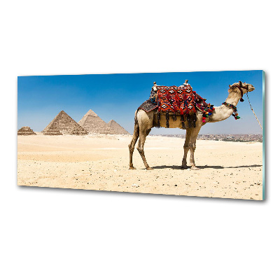 Salpicadero de cocina Camello en El Cairo