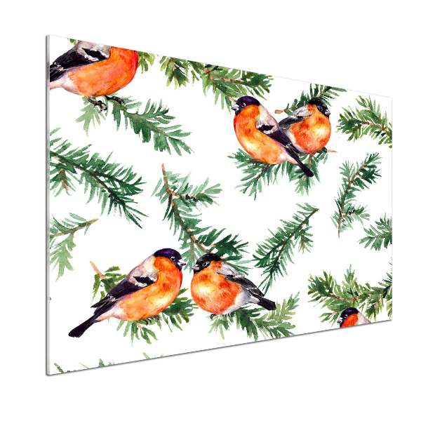 Panel antisalpicaduras Petirrojo en una conífera