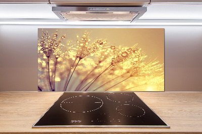 Panel de pared de cocina semillas de diente de león