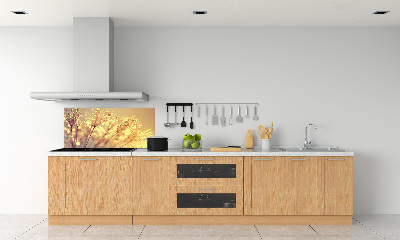 Panel de pared de cocina semillas de diente de león