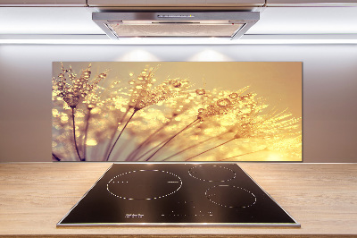 Panel de pared de cocina semillas de diente de león