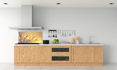 Panel de pared de cocina semillas de diente de león