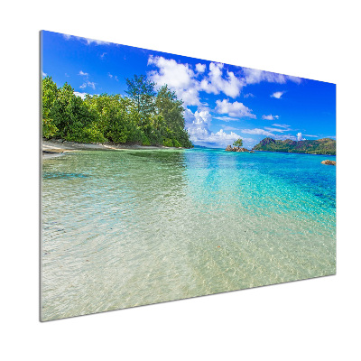 Panel para cocina Playa de Seychelles