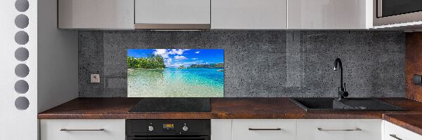 Panel para cocina Playa de Seychelles