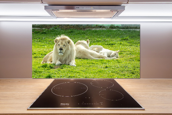 Panel antisalpicaduras Leones beige