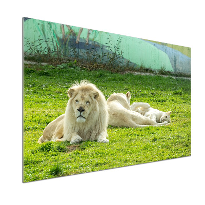 Panel antisalpicaduras Leones beige
