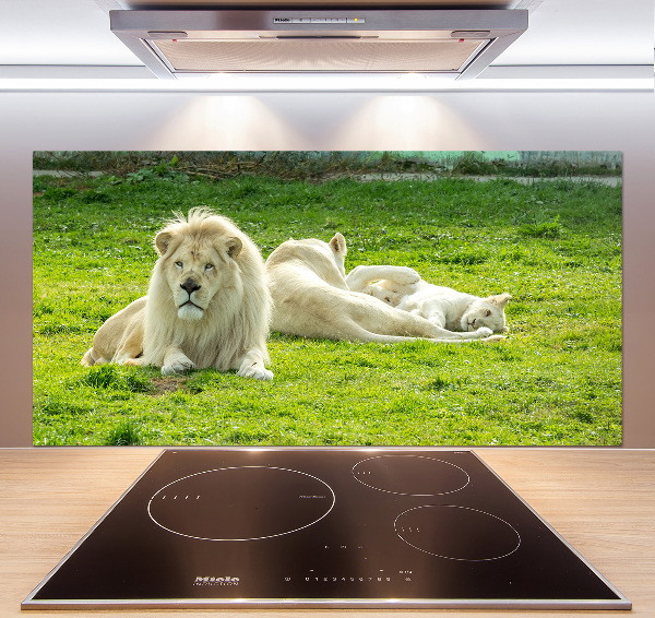 Panel antisalpicaduras Leones beige