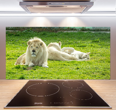 Panel antisalpicaduras Leones beige