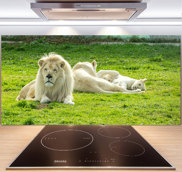Panel antisalpicaduras Leones beige