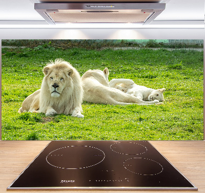 Panel antisalpicaduras Leones beige