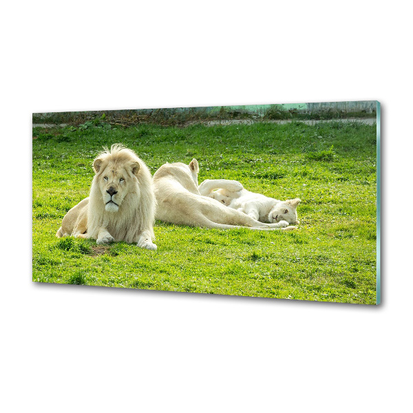 Panel antisalpicaduras Leones beige
