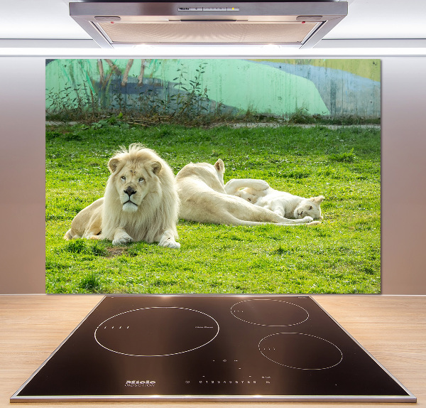Panel antisalpicaduras Leones beige
