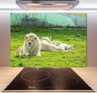 Panel antisalpicaduras Leones beige