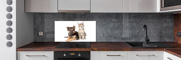 Salpicadero de cocina Perro y gato