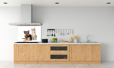 Salpicadero de cocina Perro y gato