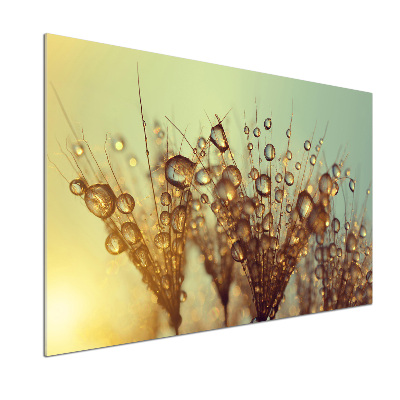 Salpicadero de cocina semillas de diente de león