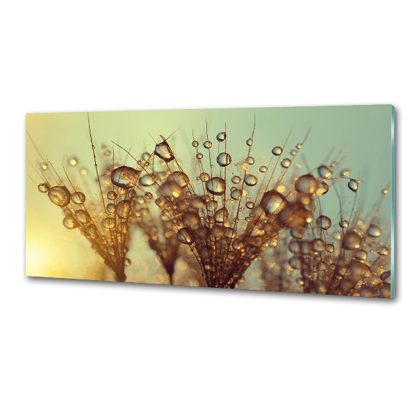 Salpicadero de cocina semillas de diente de león