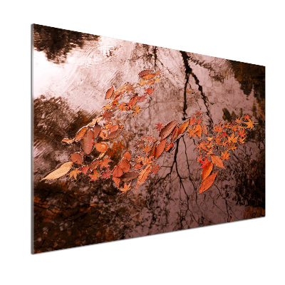 Panel antisalpicaduras Hojas en el agua