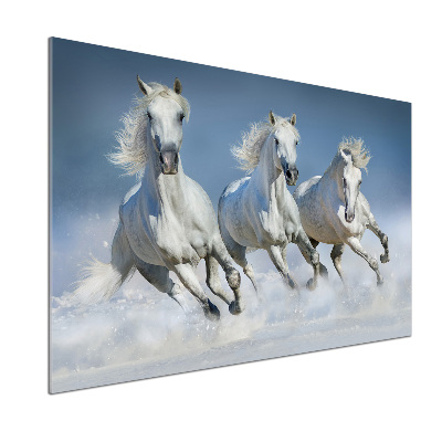 Salpicadero para cocina Caballos al galope