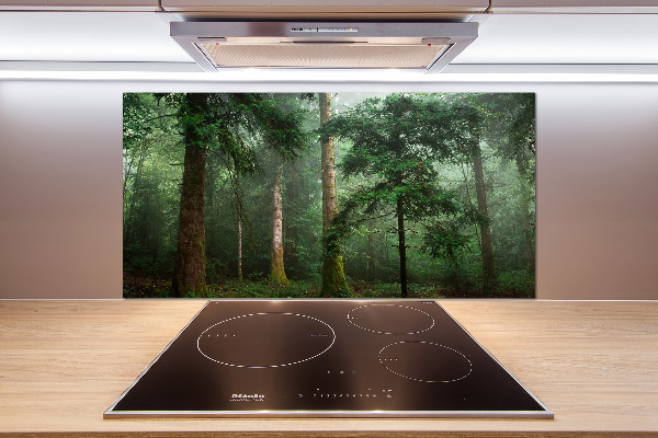 Panel para cocina Niebla en el bosque