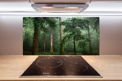 Panel para cocina Niebla en el bosque