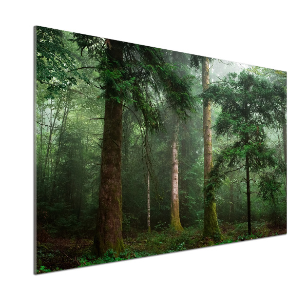 Panel para cocina Niebla en el bosque