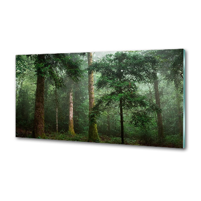 Panel para cocina Niebla en el bosque