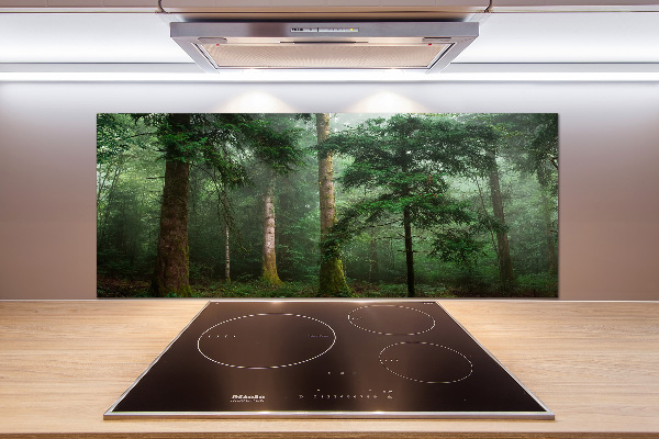 Panel para cocina Niebla en el bosque