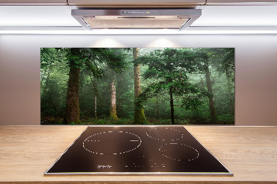 Panel para cocina Niebla en el bosque