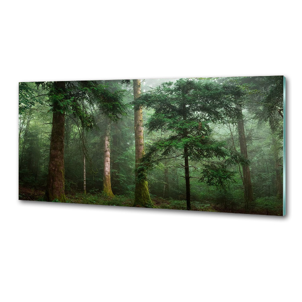 Panel para cocina Niebla en el bosque