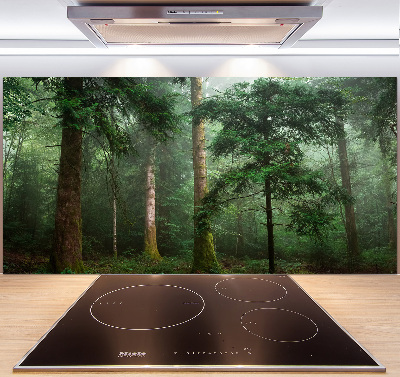 Panel para cocina Niebla en el bosque