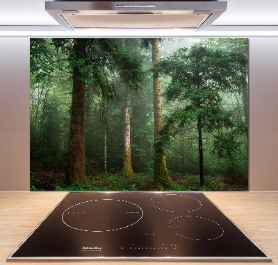 Panel para cocina Niebla en el bosque