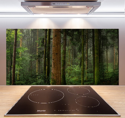 Salpicadero para cocina Niebla en el bosque